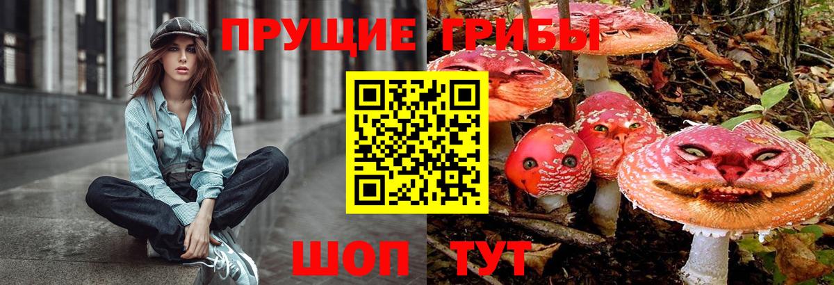 Шадринск  Галлюциногенные грибы Magic Shrooms  Вход с VPN 