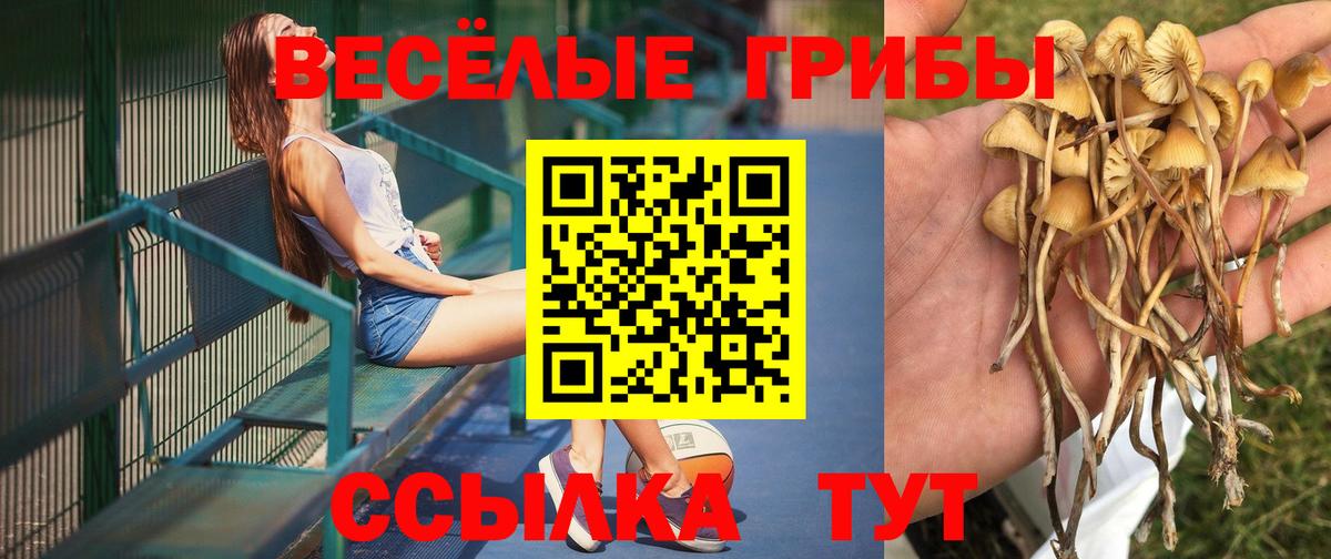 Псилоцибиновые грибы мухоморы Шадринск